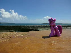 Size: 4896x3672 | Tagged: blind bag, derpibooru import, hawaii, irl, jurassic park, kauai, ocean, part of a set, photo, photographer:drakkenfyre, ponies around the world, safe, solo, toy, twilight sparkle