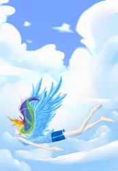 Size: 830x1200 | Tagged: safe, artist:sweet-unknown, derpibooru import, rainbow dash, human, flying, humanized, solo, winged humanization