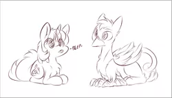 Size: 1447x820 | Tagged: safe, artist:dshou, derpibooru import, oc, oc:b.b., oc:ralek, unofficial characters only, gryphon, pony, unicorn, :p, chest fluff, cute, fluffy, head tilt, monochrome, prone, simple background, sketch, tongue out, white background