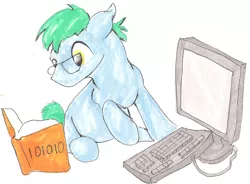 Size: 1280x942 | Tagged: safe, artist:itsatiepo, derpibooru import, oc, oc:software patch, unofficial characters only, earth pony, pony, book, commission, computer, cute, glasses, solo, traditional art