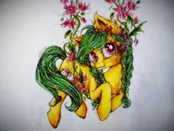 Size: 960x720 | Tagged: safe, artist:alicekuzmacat, derpibooru import, oc, unofficial characters only, earth pony, pony, flower, photo, solo, traditional art, vine