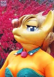 Size: 405x580 | Tagged: apple, applejack, artist:chainerprime, bust, clothes, cosplay, costume, cowboy hat, derpibooru import, dress, food, gala dress, hat, human, irl, irl human, kigurumi, photo, portrait, safe, solo, stetson, tree