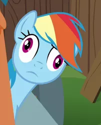 Size: 433x537 | Tagged: derp, derpibooru import, edit, edited screencap, editor:paragonaj, faic, rainbow dash, rainbow derp, safe, screencap, solo, the cart before the ponies