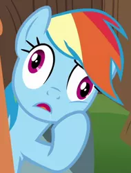 Size: 354x466 | Tagged: cropped, derp, derpibooru import, drool, edit, edited screencap, editor:paragonaj, open mouth, rainbow dash, safe, screencap, solo, the cart before the ponies