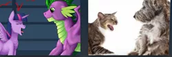 Size: 1862x622 | Tagged: safe, derpibooru import, spike, twilight sparkle, twilight sparkle (alicorn), alicorn, cat, dog, pony, :t, chest fluff, eyes closed, fluffy, hissing, look-alike, open mouth, smiling, spread wings