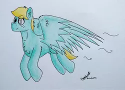 Size: 2002x1440 | Tagged: safe, artist:summerium, derpibooru import, oc, oc:rottsopony, unofficial characters only, pegasus, pony, flying, solo, traditional art