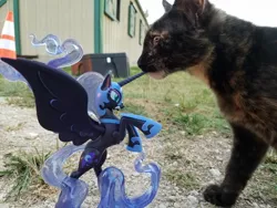 Size: 1600x1200 | Tagged: cat, derpibooru import, fan series, guardians of harmony, irl, irl cat, misadventures of the guardians, nightmare moon, photo, photographer:we are borg, safe, toy