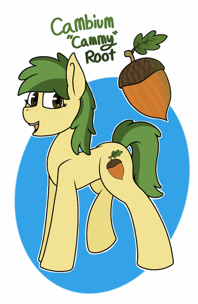 Size: 768x1178 | Tagged: safe, artist:koonzypony, derpibooru import, oc, oc:cambium root, unofficial characters only, earth pony, pony, acorn, butt freckles, cutie mark, farmer, freckles, reference, simple background, solo, white background