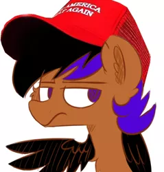 Size: 562x588 | Tagged: safe, artist:cotton candy, artist:php65, deleted from derpibooru, derpibooru import, edit, oc, oc:sharpshooter, unofficial characters only, pegasus, pony, bust, clothes, donald trump, fluffy, frown, glare, hat, image, lidded eyes, looking away, looking back, make america great again, png, politics, portrait, simple background, sitting, solo, spread wings, unamused, white background
