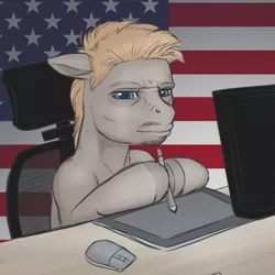 Size: 300x300 | Tagged: safe, artist:arareroll, derpibooru import, oc, ponified, unofficial characters only, pony, 2016 us presidential election, american flag, donald trump, politics, profile picture, solo
