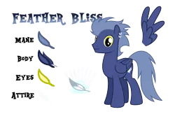 Size: 5091x3321 | Tagged: safe, artist:drakizora, derpibooru import, oc, oc:feather bliss, unofficial characters only, pony, male, reference sheet, simple background, solo, stallion, transparent background