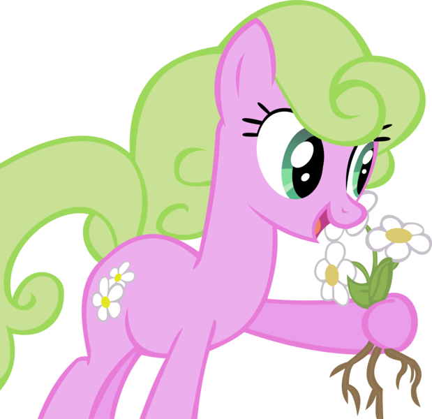 Size: 11356x11002 | Tagged: absurd resolution, artist:cyanlightning, daisy, derpibooru import, flower, flower wishes, safe, simple background, solo, .svg available, the ticket master, transparent background, vector