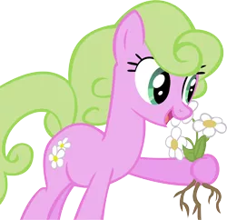 Size: 11356x11002 | Tagged: absurd resolution, artist:cyanlightning, daisy, derpibooru import, flower, flower wishes, safe, simple background, solo, .svg available, the ticket master, transparent background, vector