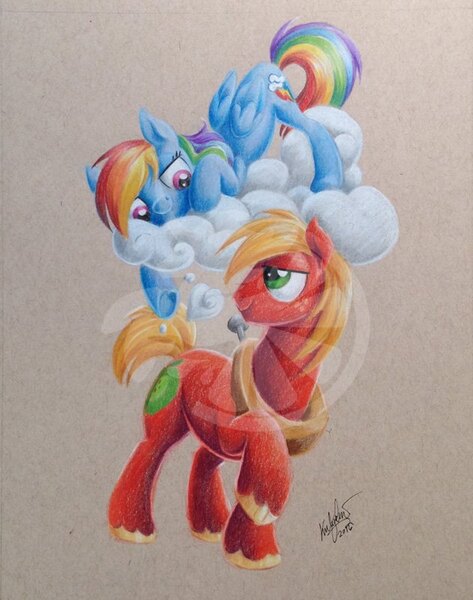 Size: 631x800 | Tagged: safe, artist:zene, derpibooru import, big macintosh, rainbow dash, earth pony, pony, bronycon 2016, commission, male, rainbowmac, shipping, stallion, straight