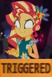 Size: 465x679 | Tagged: safe, derpibooru import, edit, edited screencap, screencap, flash sentry, sunset shimmer, equestria girls, legend of everfree, legend of everfree - bloopers, cropped, crystal gala dress, meme, reaction image, solo, triggered