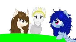 Size: 1100x618 | Tagged: safe, artist:m-ikochan, derpibooru import, oc, oc:akira, oc:bia, oc:kemi, unofficial characters only, earth pony, pegasus, pony, unicorn, cloth, simple background, transparent background