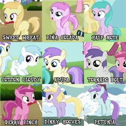 Size: 753x753 | Tagged: safe, derpibooru import, edit, edited screencap, screencap, alula, aura (character), cotton cloudy, dinky hooves, liza doolots, noi, petunia, piña colada, ruby pinch, tootsie flute, tornado bolt, earth pony, pegasus, pony, unicorn, call of the cutie, lesson zero, the cutie pox, the mysterious mare do well, winter wrap up, artifact, background pony, background pony chart, collage, cropped, female, filly, foal, old names, piña cutelada