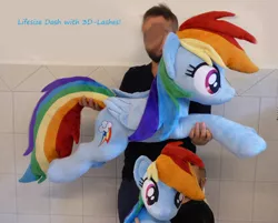 Size: 3912x3152 | Tagged: artist:epicrainbowcrafts, derpibooru import, human, irl, irl human, life size, photo, plushie, prone, rainbow dash, safe, solo