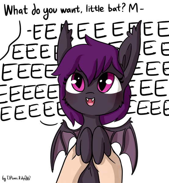 Size: 1078x1167 | Tagged: safe, artist:dsp2003, artist:tjpones, derpibooru import, part of a set, oc, unofficial characters only, bat pony, human, pony, blushing, bust, collaboration, cute, diabetes, dialogue, dsp2003 is trying to murder us, eeee, fangs, female, fluffy, holding a pony, looking up, ocbetes, offscreen character, open mouth, part of a series, screech, simple background, smiling, spread wings, tjpones is trying to murder us, what do you want, white background