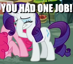 Size: 412x362 | Tagged: behaving like an ostrich, caption, cringing, derpibooru import, edit, edited screencap, facehoof, image macro, meme, pinkie pie, putting your hoof down, rarity, safe, screencap, stressed, you had one job