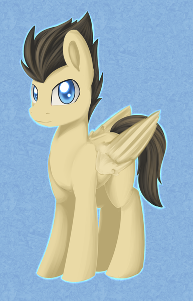 Size: 1024x1597 | Tagged: safe, artist:dusthiel, derpibooru import, oc, unofficial characters only, pegasus, pony, male, solo, stallion