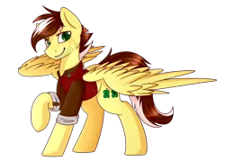 Size: 1923x1376 | Tagged: safe, artist:ruef, derpibooru import, oc, oc:silver lining, unofficial characters only, pegasus, pony, clothes, raised hoof, scruffy, solo