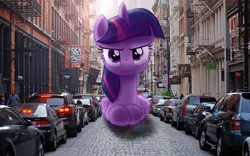 Size: 3000x1875 | Tagged: safe, artist:flutterbatismagic, derpibooru import, twilight sparkle, twilight sparkle (alicorn), alicorn, pony, :3, >:3, behaving like a cat, car, catface, city, cute, funny, giant pony, giantess, glare, irl, looking at you, macro, mega twilight sparkle, new york city, photo, ponies in real life, prone, silly face, smirk, street, twiabetes, twilight cat