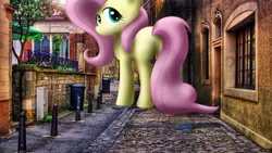 Size: 4000x2250 | Tagged: adorable face, alley, alleyway, artist:flutterbatismagic, city, cute, derpibooru import, flutterbutt, fluttershy, giantess, irl, looking at you, looking back, looking back at you, macro, mischievous, photo, photomanipulation, photoshop, planning, plot, ponies in real life, safe, shading, shyabetes, solo, street, walking, what has science done