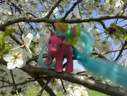 Size: 3264x2448 | Tagged: safe, artist:karredroses, derpibooru import, flower, g1, irl, photo, sky dancer, solo, summer wing ponies, toy, tree