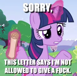 Size: 640x628 | Tagged: safe, derpibooru import, edit, edited screencap, screencap, twilight sparkle, a canterlot wedding, image macro, levitation, magic, meme, no fucks, shrug, solo, telekinesis, vulgar