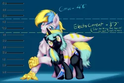 Size: 3600x2400 | Tagged: artist:frist44, blushing, cirrent, derpibooru import, height difference, height scale, hippogriff, hug, oc, oc:cirrus sky, oc:electro current, original species, safe, shipping, size difference, talons, unofficial characters only, winghug