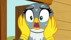 Size: 1280x720 | Tagged: safe, derpibooru import, screencap, gabby, gryphon, the fault in our cutie marks, horrified, shocked, solo