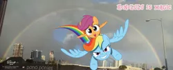 Size: 3199x1310 | Tagged: artist:newportmuse, derpibooru import, facebook header, hawaii, haywaii, honolulu, irl, photo, ponies in real life, rainbow, rainbow dash, safe, scootaloo, scootaloo can fly, scootalove, teary eyes, vector