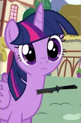 Size: 395x603 | Tagged: safe, derpibooru import, edit, edited screencap, screencap, twilight sparkle, twilight sparkle (alicorn), alicorn, pony, confused, counter-strike, female, frown, grimderp, head tilt, immortality is awesome, knife, looking at you, mare, solo, stabbing, wat