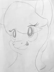 Size: 1176x1571 | Tagged: artist:andandampersand, bust, derpibooru import, doodles, grayscale, monochrome, oc, portrait, safe, solo, traditional art, unofficial characters only