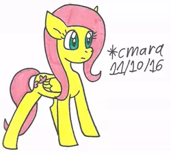 Size: 706x634 | Tagged: artist:cmara, derpibooru import, fluttershy, safe, solo, traditional art