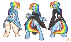 Size: 1350x800 | Tagged: anthro, anthro ponidox, anus, artist:4bitten, ass, blushing, both cutie marks, clothes, derpibooru import, hoodie, human, human anthrodox, humanized, human ponidox, nudity, panties, plot, rainbow dash, rainbutt dash, self ponidox, simplistic anus, suggestive, underwear