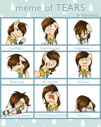 Size: 1024x1284 | Tagged: safe, artist:stuflox, derpibooru import, oc, oc:drawingamer, unofficial characters only, pegasus, pony, bowtie, clothes, crying, deviantart meme, expressions, female, mare, meme, meme of tears, solo