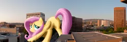 Size: 7740x2580 | Tagged: suggestive, artist:flutterbatismagic, derpibooru import, fluttershy, pony, blushing, boise, butt shake, city, cute, destruction, flank, funny, giant pony, giantess, highrise ponies, idaho, irl, looking at you, looking back, macro, photo, photomanipulation, photoshop, plot, ponies in real life, sexy, shading, shy, shyabetes, silly, silly pony, solo, vector