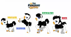 Size: 1024x542 | Tagged: crossover, derpibooru import, kowalski, ponified, pony creator, private, rico, safe, skipper, the penguins of madagascar
