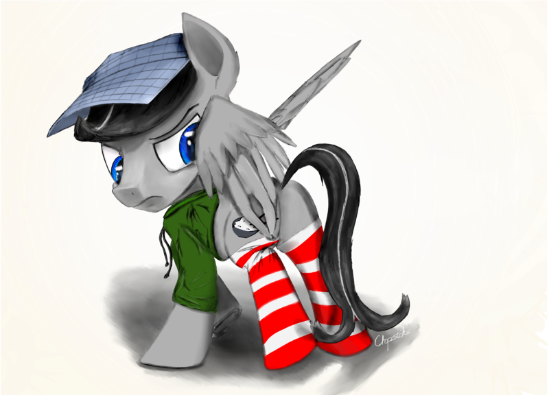 Size: 3500x2522 | Tagged: safe, artist:chopsticks, derpibooru import, oc, oc:chopsticks, unofficial characters only, pegasus, pony, annoyed, blue eyes, clothes, digital art, digital painting, hat, jacket, male, ponysona, socks, solo, stallion, striped socks