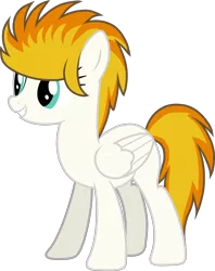 Size: 2630x3314 | Tagged: safe, artist:cejs94, derpibooru import, oc, oc:kaos meleer, unofficial characters only, pegasus, pony, 2017 community collab, derpibooru community collaboration, simple background, solo, transparent background, vector
