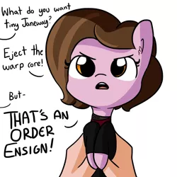 Size: 1080x1080 | Tagged: safe, artist:tjpones, derpibooru import, ponified, pony, dialogue, holding a pony, kathryn janeway, offscreen character, simple background, solo, star trek, star trek: voyager, this will not end well, tiny ponies, what do you want, white background