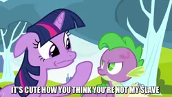 Size: 640x360 | Tagged: semi-grimdark, derpibooru import, edit, edited screencap, screencap, spike, twilight sparkle, dragon, pony, unicorn, abuse, abuse edit, atop the fourth wall, bruised, caption, faic, image macro, italian twilight, linkara, male, meme, slap, slave, spikeabuse, twibitch sparkle, tyrant sparkle