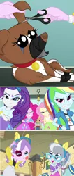 Size: 704x1656 | Tagged: semi-grimdark, derpibooru import, edit, applejack, diamond tiara, fluttershy, pinkie pie, rainbow dash, rarity, silver spoon, winona, dog, equestria girls, abuse, abuse edit, animal abuse, black eye, comic, edgy, female, terrible, tiarabuse, winonabuse