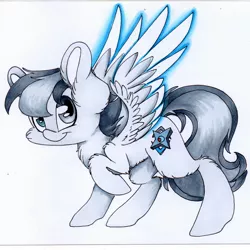 Size: 1800x1802 | Tagged: safe, artist:cutepencilcase, derpibooru import, oc, oc:light blade, unofficial characters only, pegasus, pony, commission, solo, spread wings, traditional art