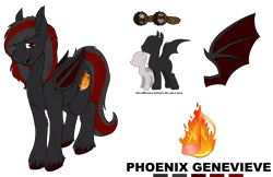 Size: 5100x3300 | Tagged: safe, artist:celestialoddity, derpibooru import, oc, oc:phoenix genevieve, unofficial characters only, bat pony, pony, goggles, reference sheet, solo