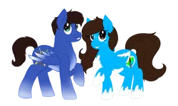 Size: 2500x1500 | Tagged: safe, artist:wintaura, derpibooru import, oc, oc:chiarascura, oc:melody guardian, unofficial characters only, pegasus, pony, 2017 community collab, derpibooru community collaboration, chest fluff, chialody, couple, ear fluff, female, male, mare, raised hoof, simple background, smiling, spread wings, stallion, straight, transparent background