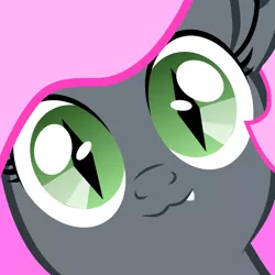 Size: 1024x1024 | Tagged: artist needed, safe, derpibooru import, oc, oc:heartbeat, unofficial characters only, bat, bat pony, pony, close-up, cute little fangs, fangs, foal, hi anon, solo