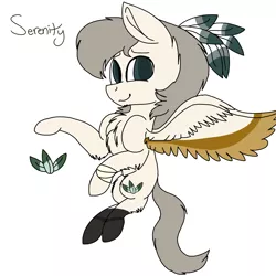 Size: 2000x2000 | Tagged: safe, artist:brokensilence, derpibooru import, oc, oc:serenity, unofficial characters only, pegasus, pony, bandage, feather, male, reference sheet, solo, stallion